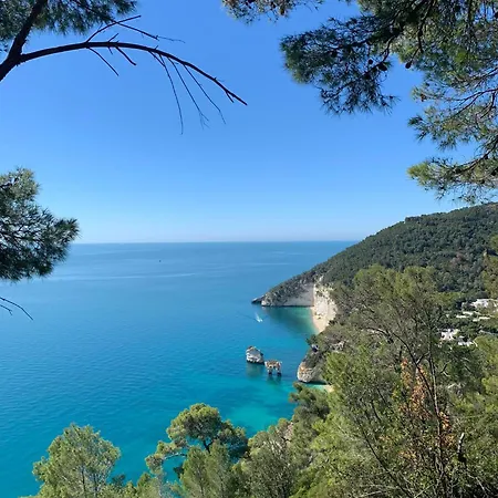 Casa Prencipe Bed and Breakfast 3*